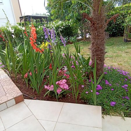 Bluegum Apartments Ližnjan Εξωτερικό φωτογραφία