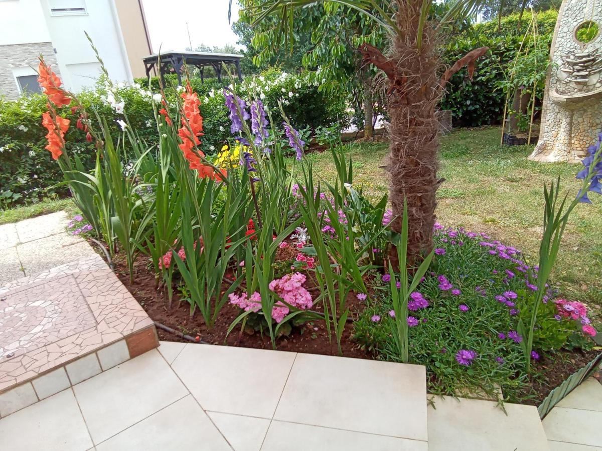 Bluegum Apartments Ližnjan Εξωτερικό φωτογραφία