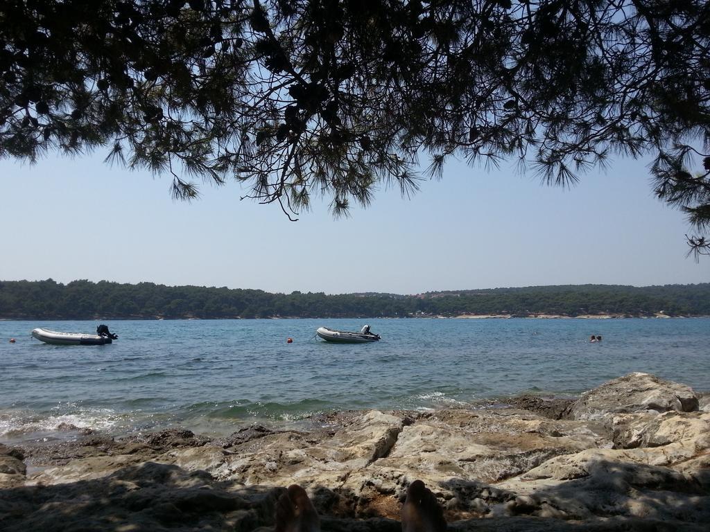 Bluegum Apartments Ližnjan Εξωτερικό φωτογραφία