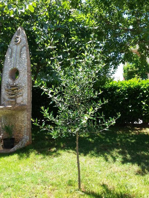 Bluegum Apartments Ližnjan Εξωτερικό φωτογραφία